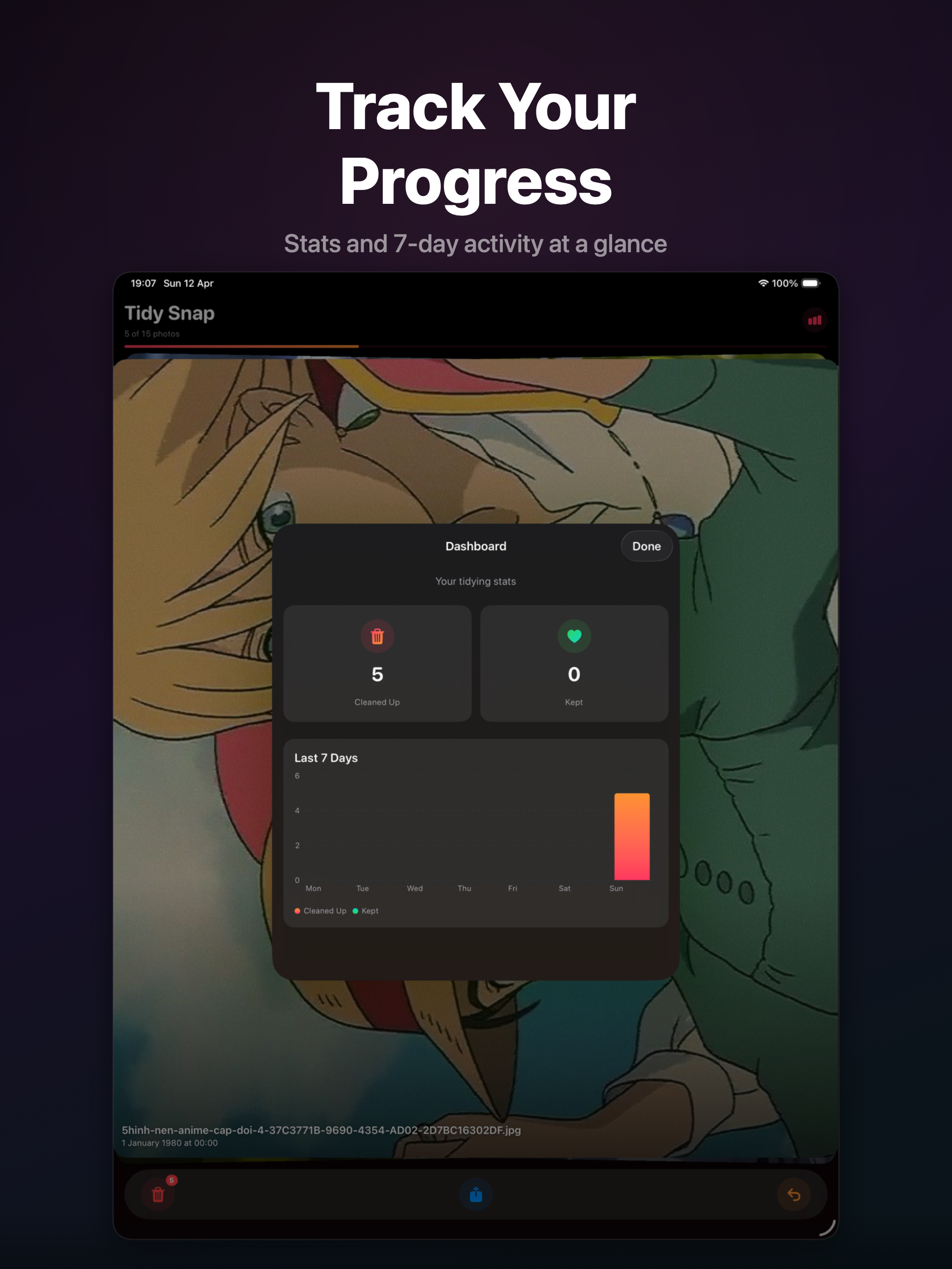 Tidy Snap on iPad - Dashboard